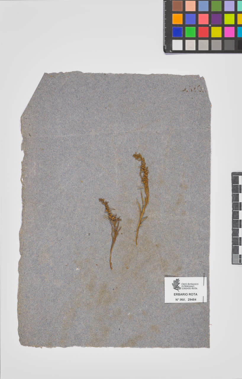 SW_BNB_s3090-07506_IMG-0000000001