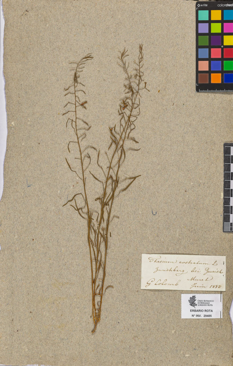 SW_BNB_s3090-07507_IMG-0000000001