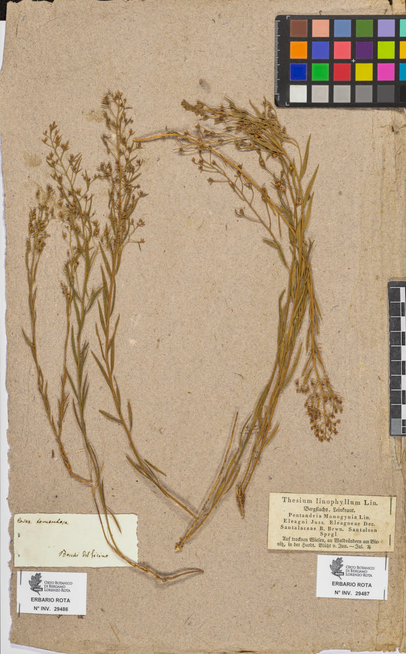 SW_BNB_s3090-07508_IMG-0000000001