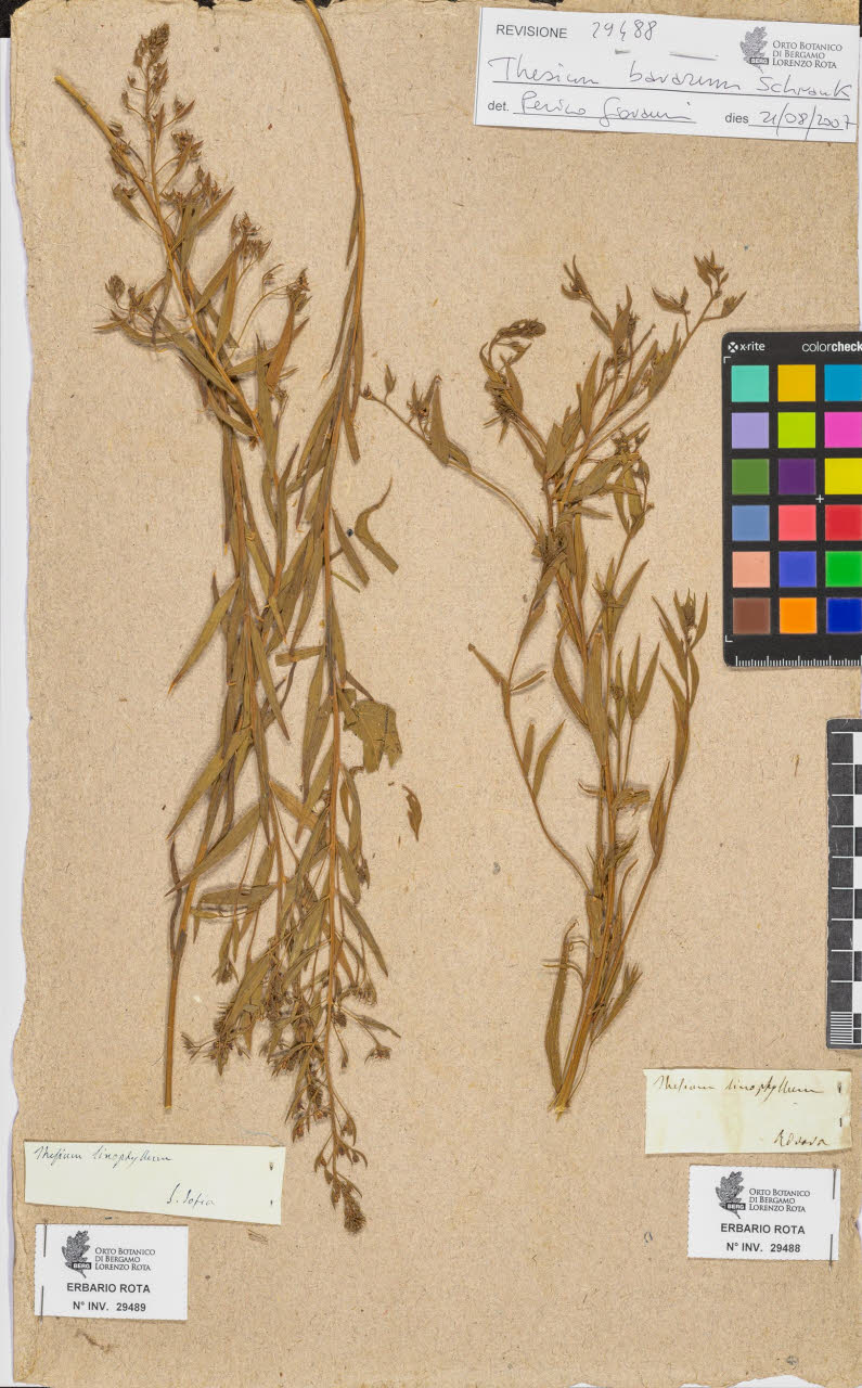 SW_BNB_s3090-07510_IMG-0000000001