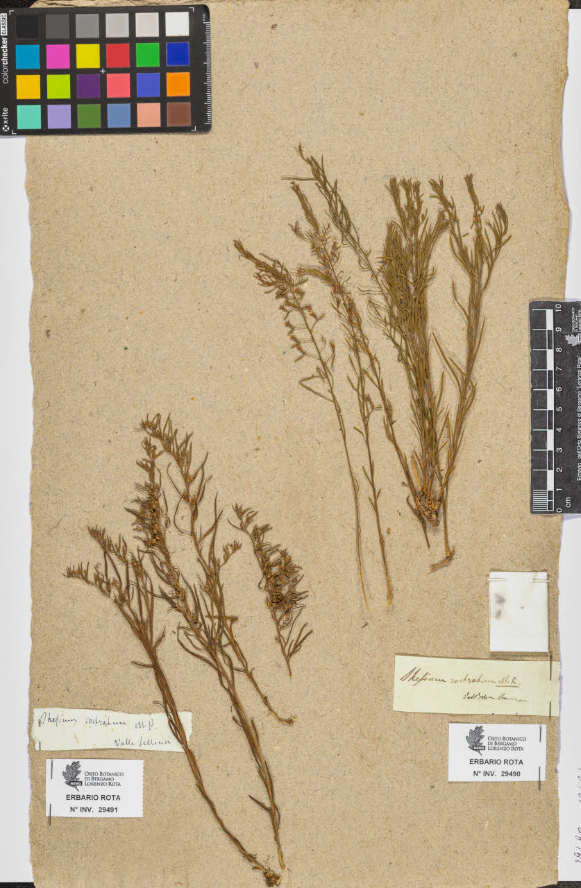 SW_BNB_s3090-07512_IMG-0000000001