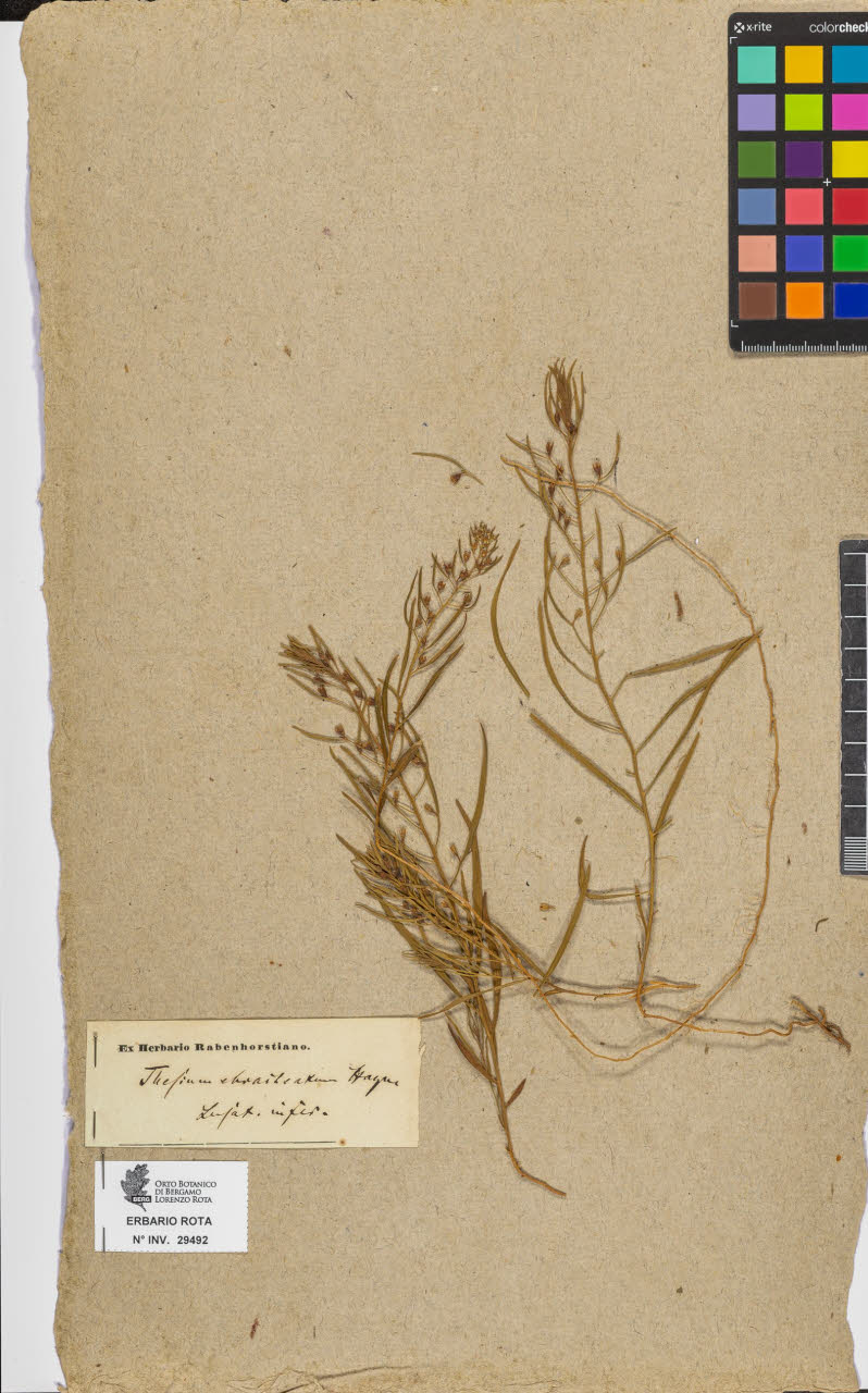 SW_BNB_s3090-07514_IMG-0000000001