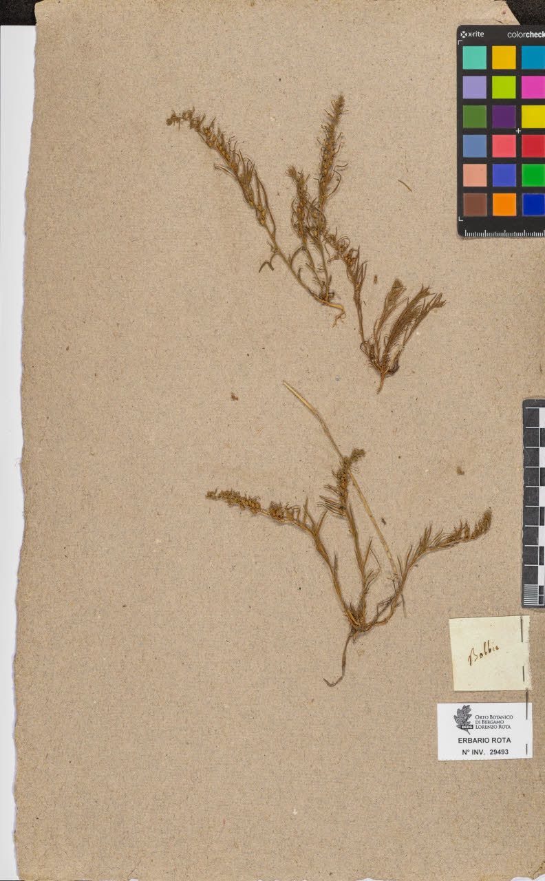 SW_BNB_s3090-07515_IMG-0000000001