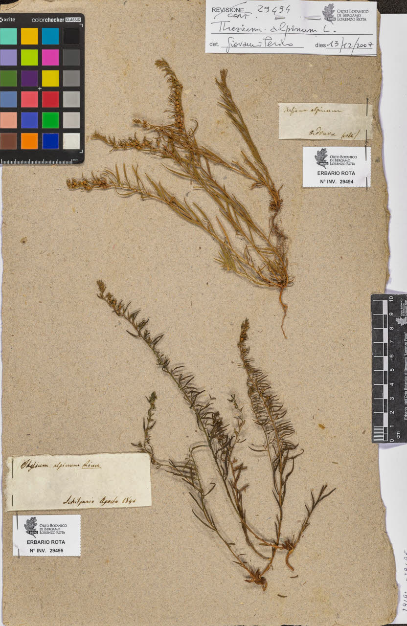 SW_BNB_s3090-07516_IMG-0000000001