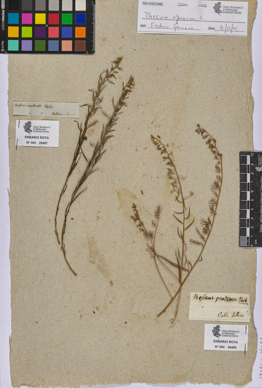 SW_BNB_s3090-07518_IMG-0000000001