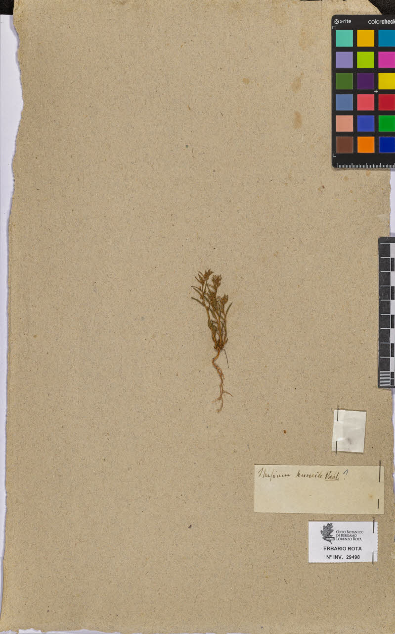 SW_BNB_s3090-07520_IMG-0000000001