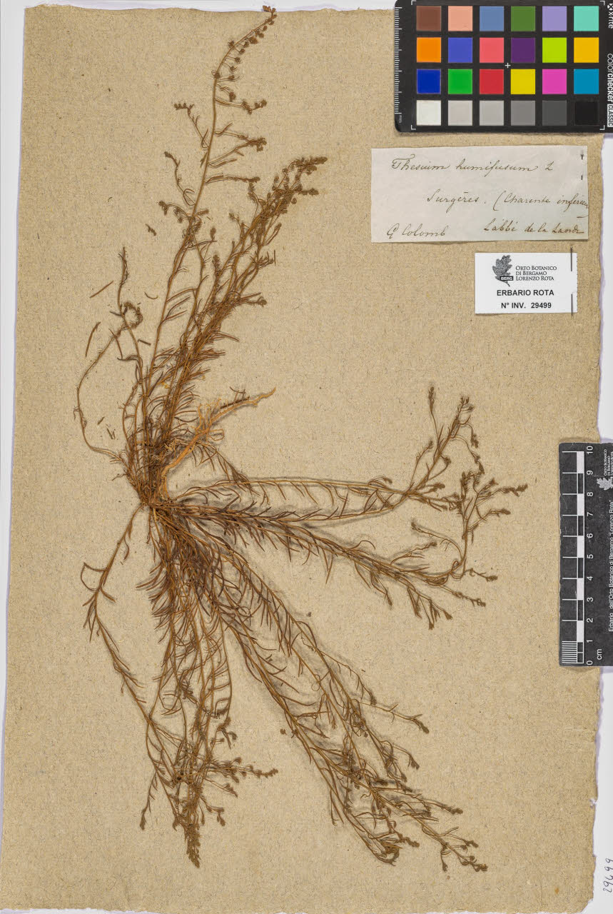 SW_BNB_s3090-07521_IMG-0000000001