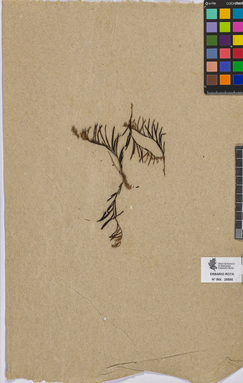 SW_BNB_s3090-07522_IMG-0000000001