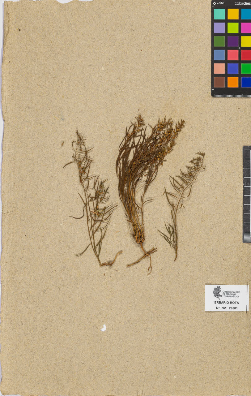 SW_BNB_s3090-07523_IMG-0000000001