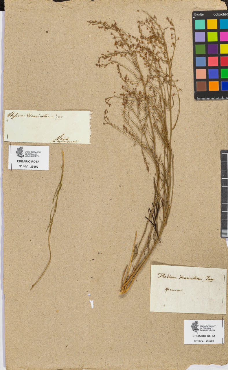 SW_BNB_s3090-07525_IMG-0000000001