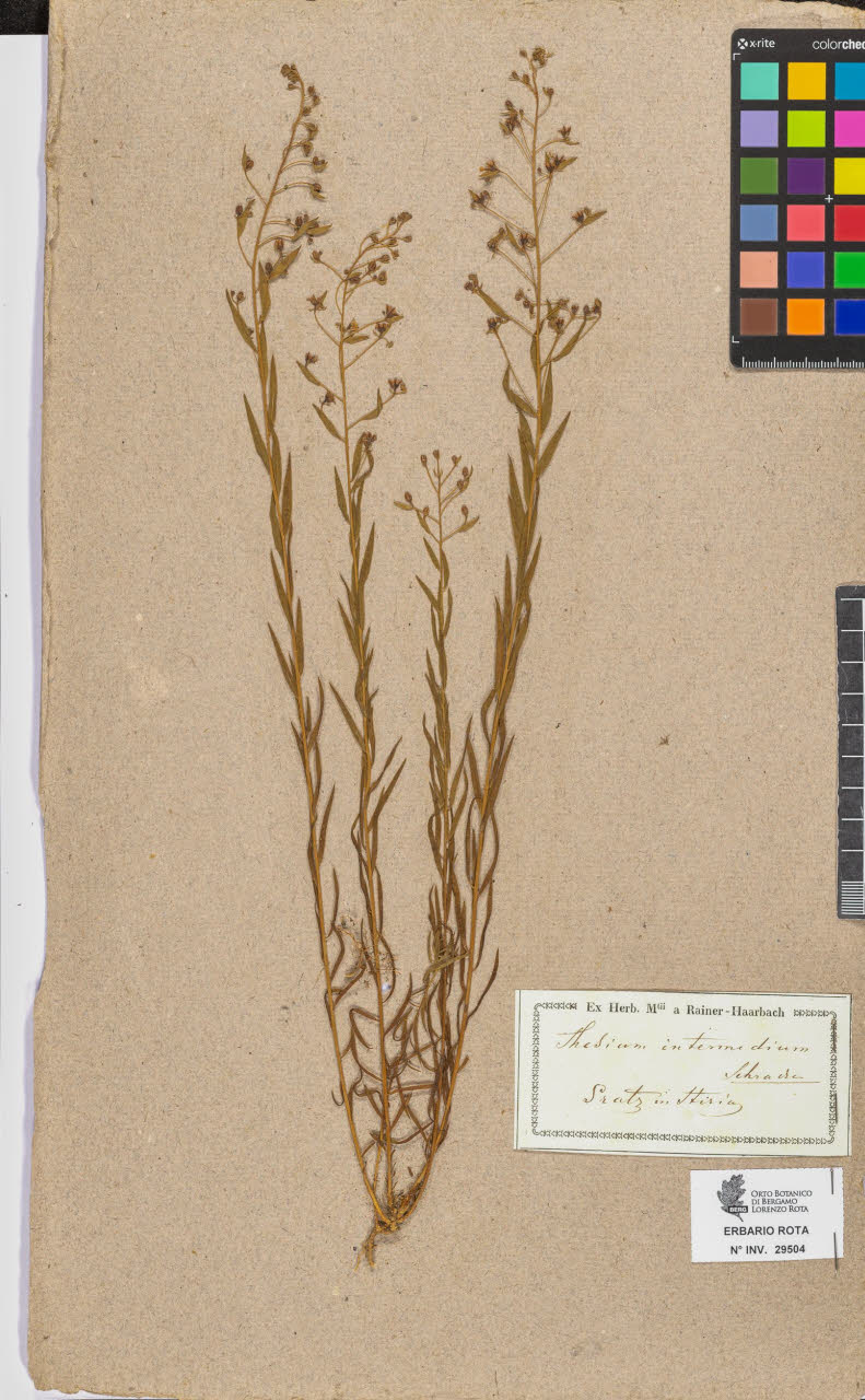 SW_BNB_s3090-07526_IMG-0000000001