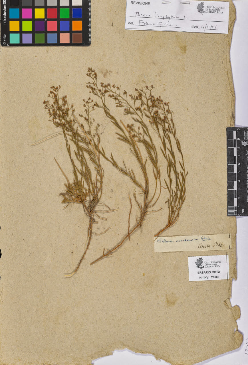 SW_BNB_s3090-07527_IMG-0000000001