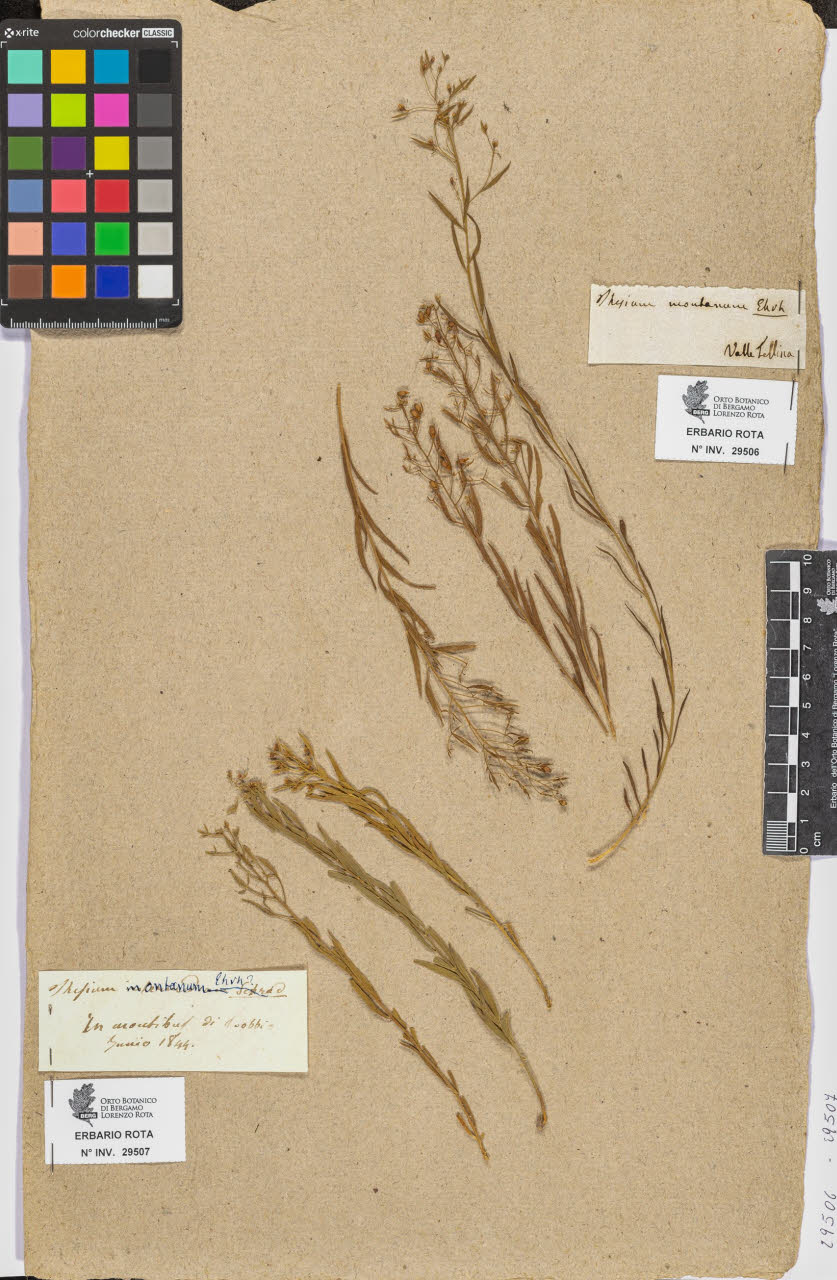 SW_BNB_s3090-07529_IMG-0000000001