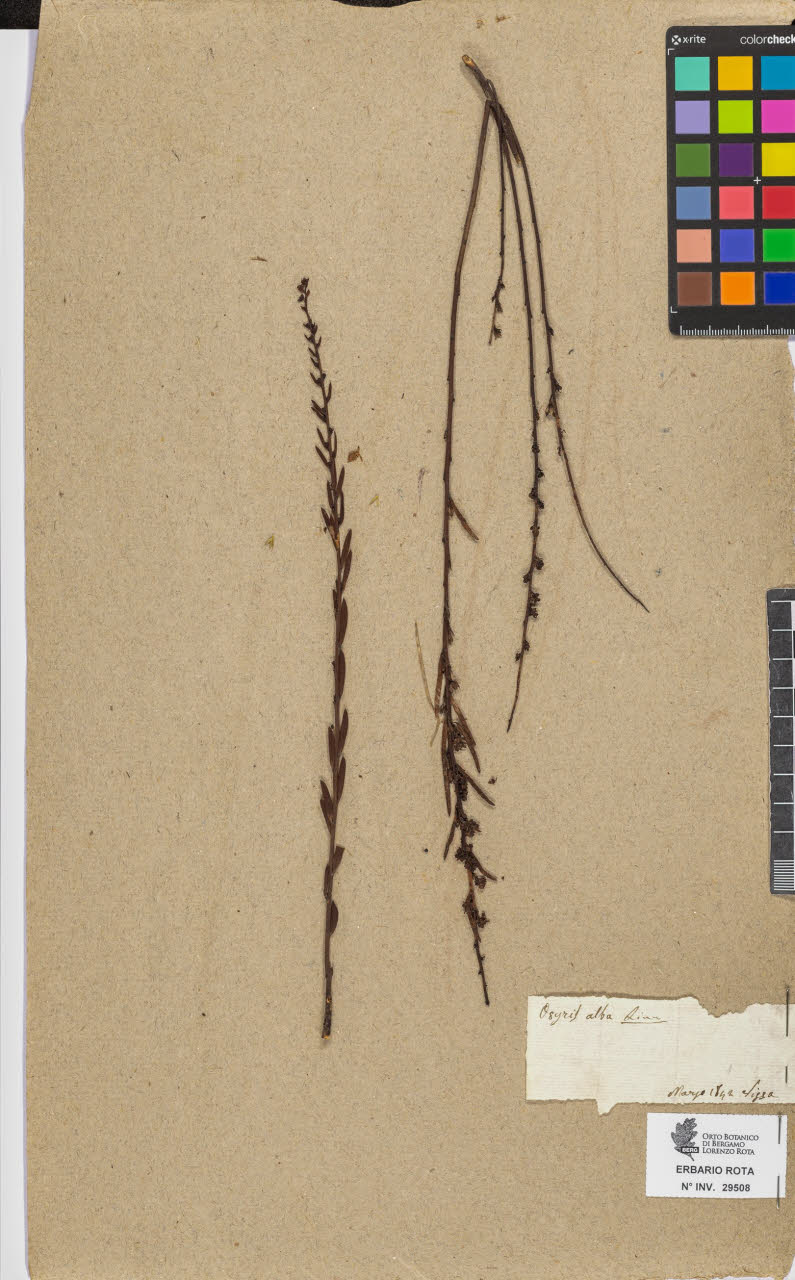 SW_BNB_s3090-07530_IMG-0000000001