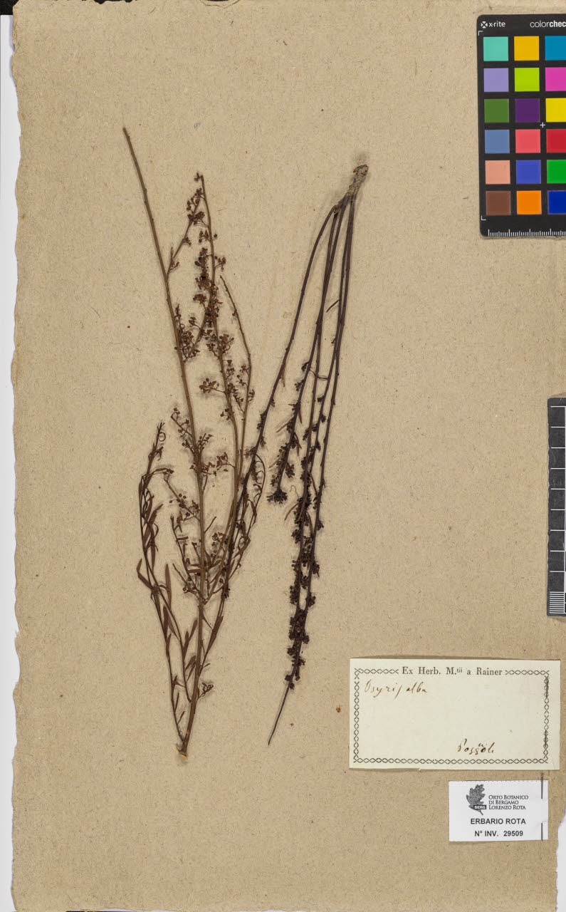 SW_BNB_s3090-07531_IMG-0000000001