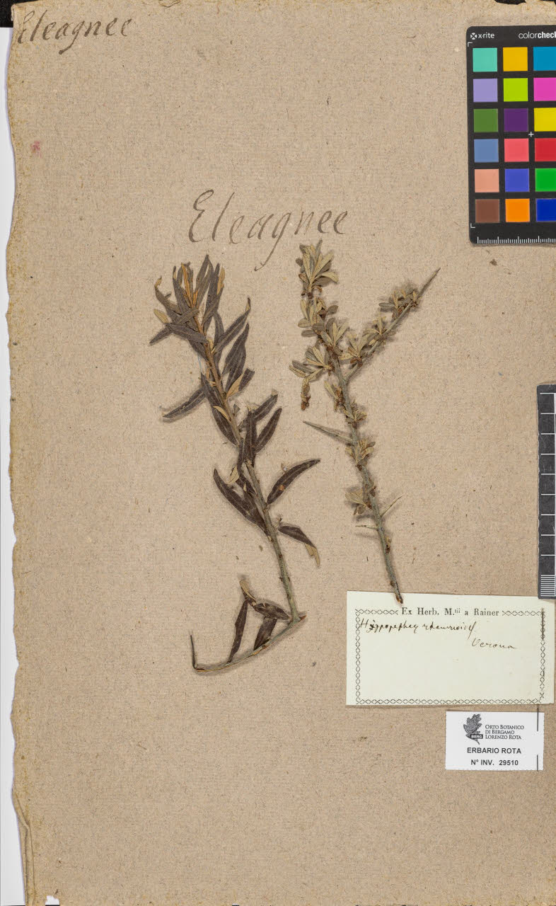 SW_BNB_s3090-07532_IMG-0000000001