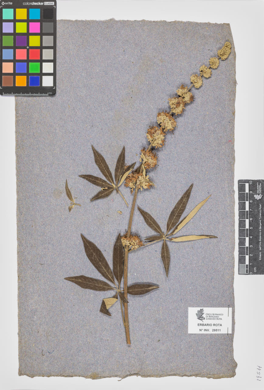 SW_BNB_s3090-07533_IMG-0000000001