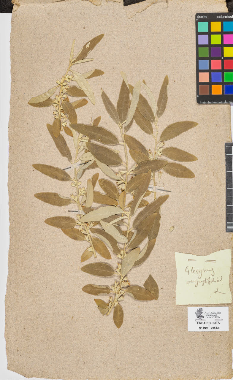 SW_BNB_s3090-07534_IMG-0000000001