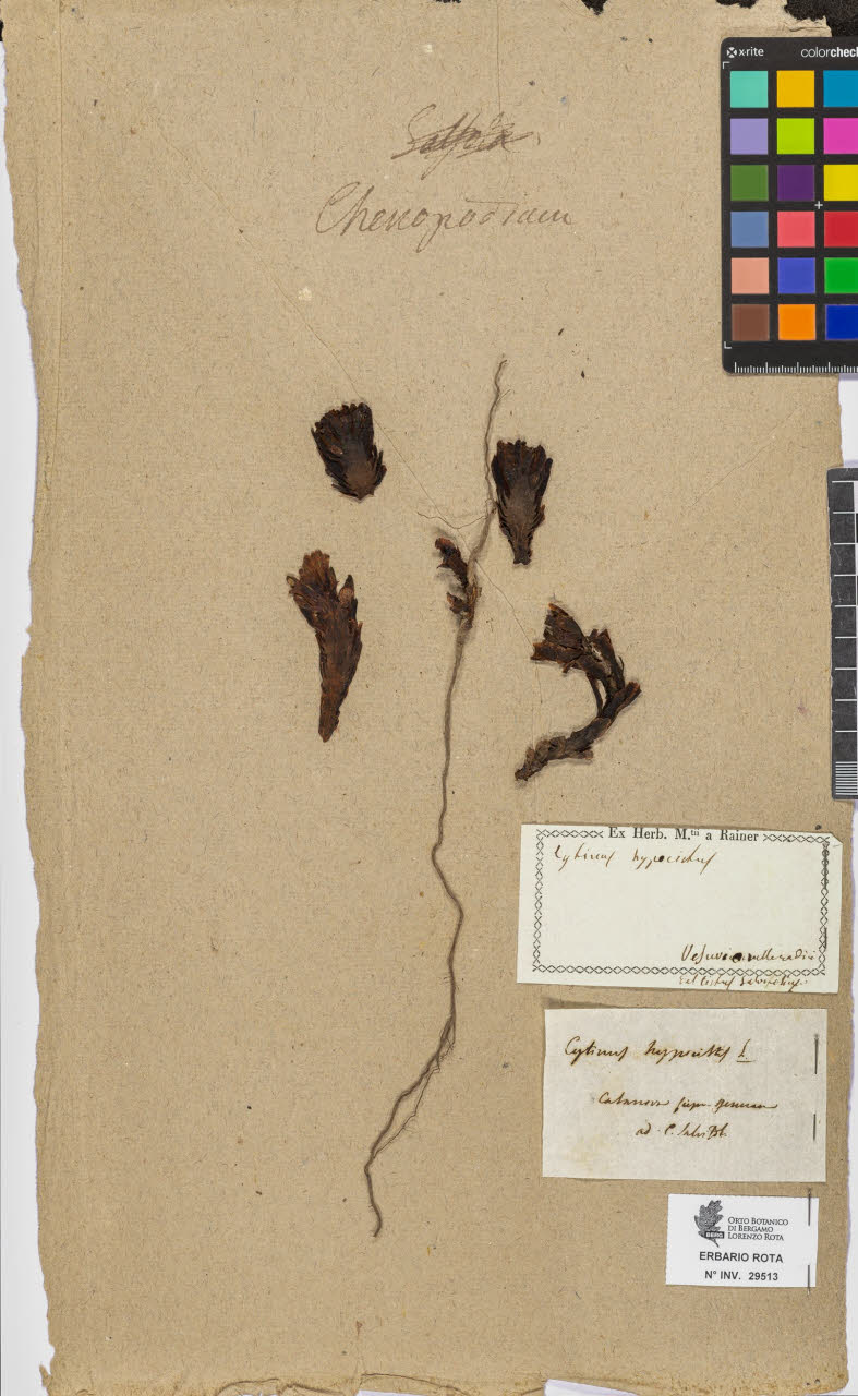 SW_BNB_s3090-07535_IMG-0000000001