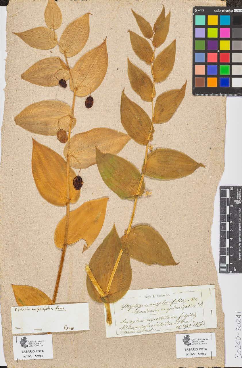 SW_BNB_s3090-08271_IMG-0000000001