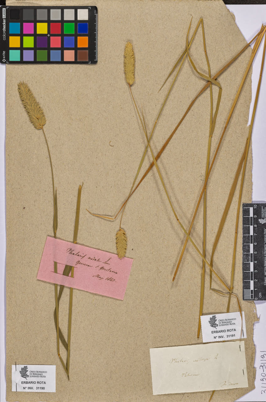 SW_BNB_s3090-09232_IMG-0000000001