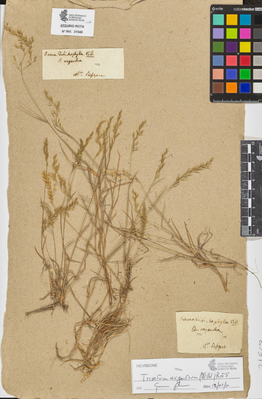 SW_BNB_s3090-09589_IMG-0000000001