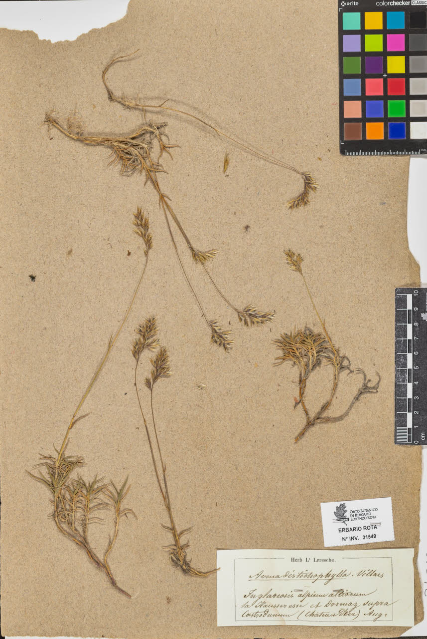 SW_BNB_s3090-09590_IMG-0000000001