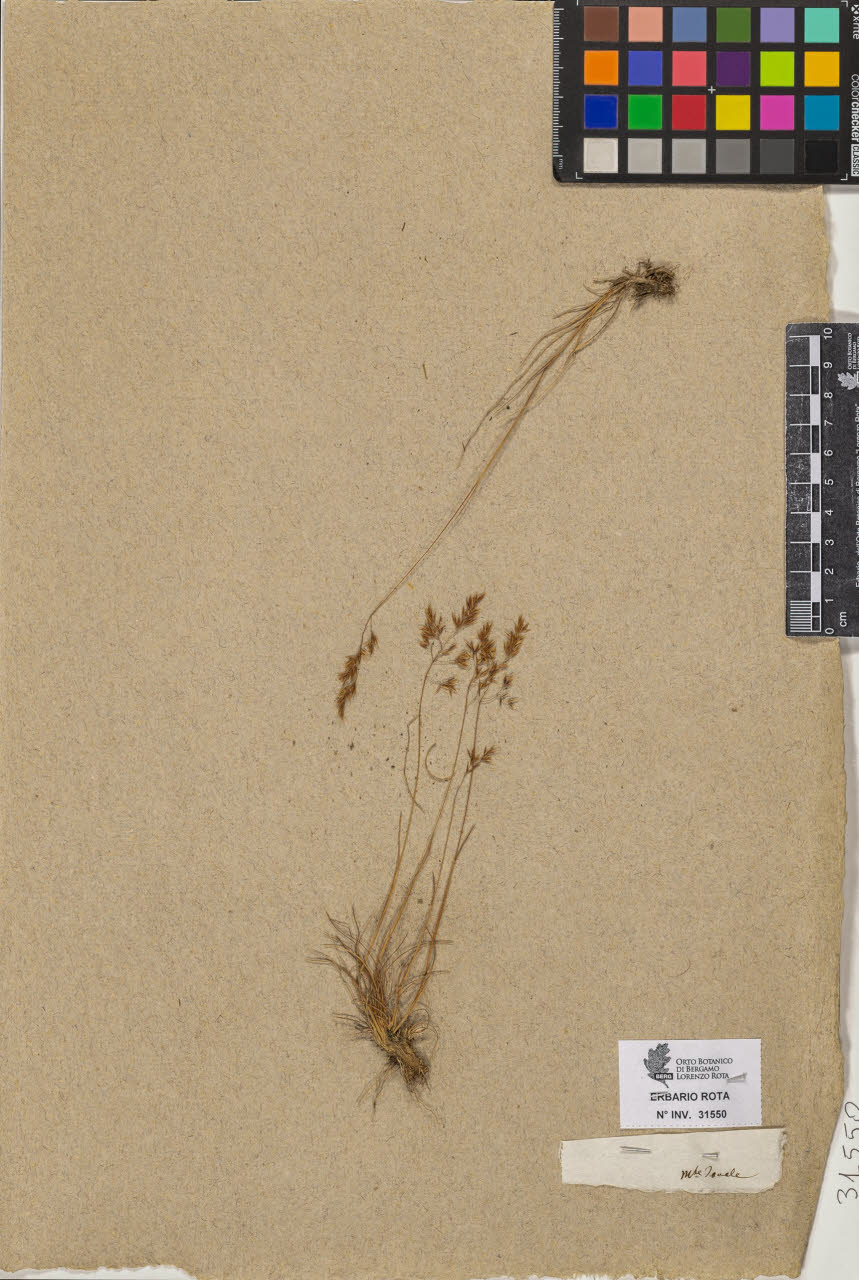 SW_BNB_s3090-09591_IMG-0000000001