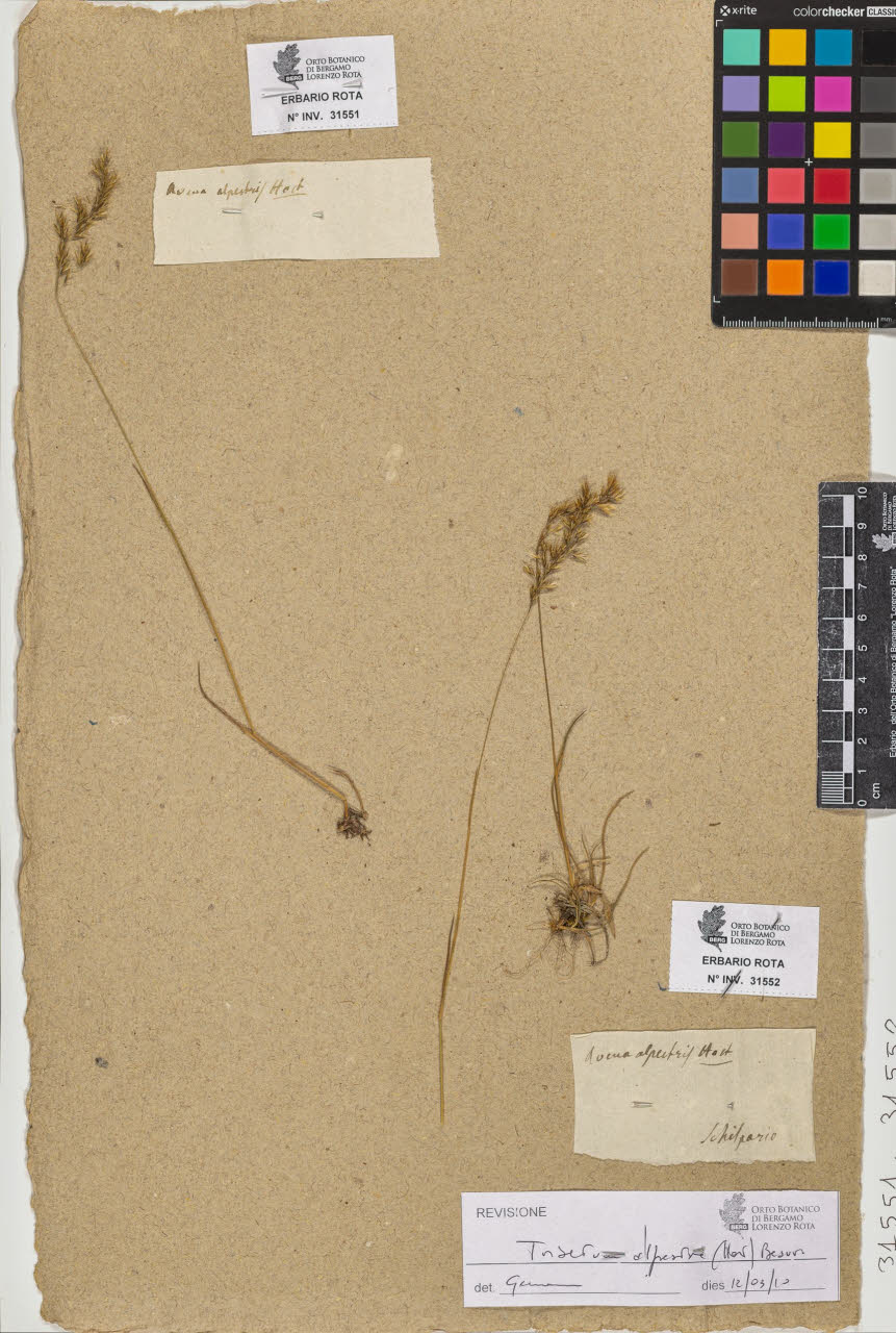 SW_BNB_s3090-09593_IMG-0000000001