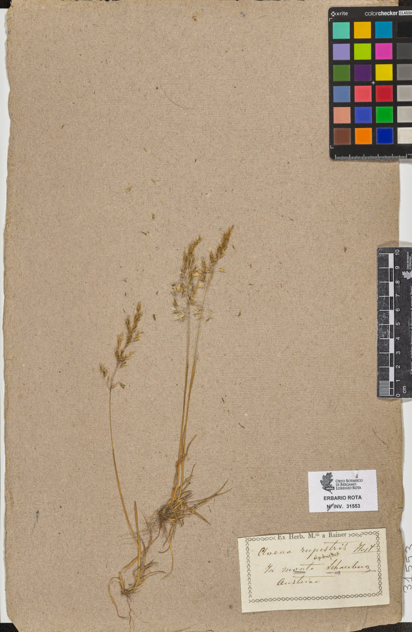 SW_BNB_s3090-09594_IMG-0000000001