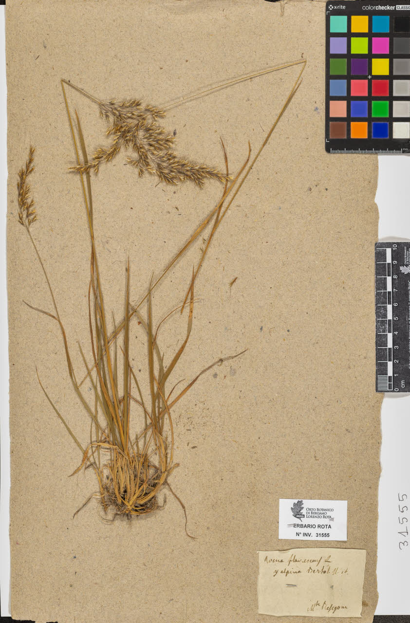 SW_BNB_s3090-09596_IMG-0000000001