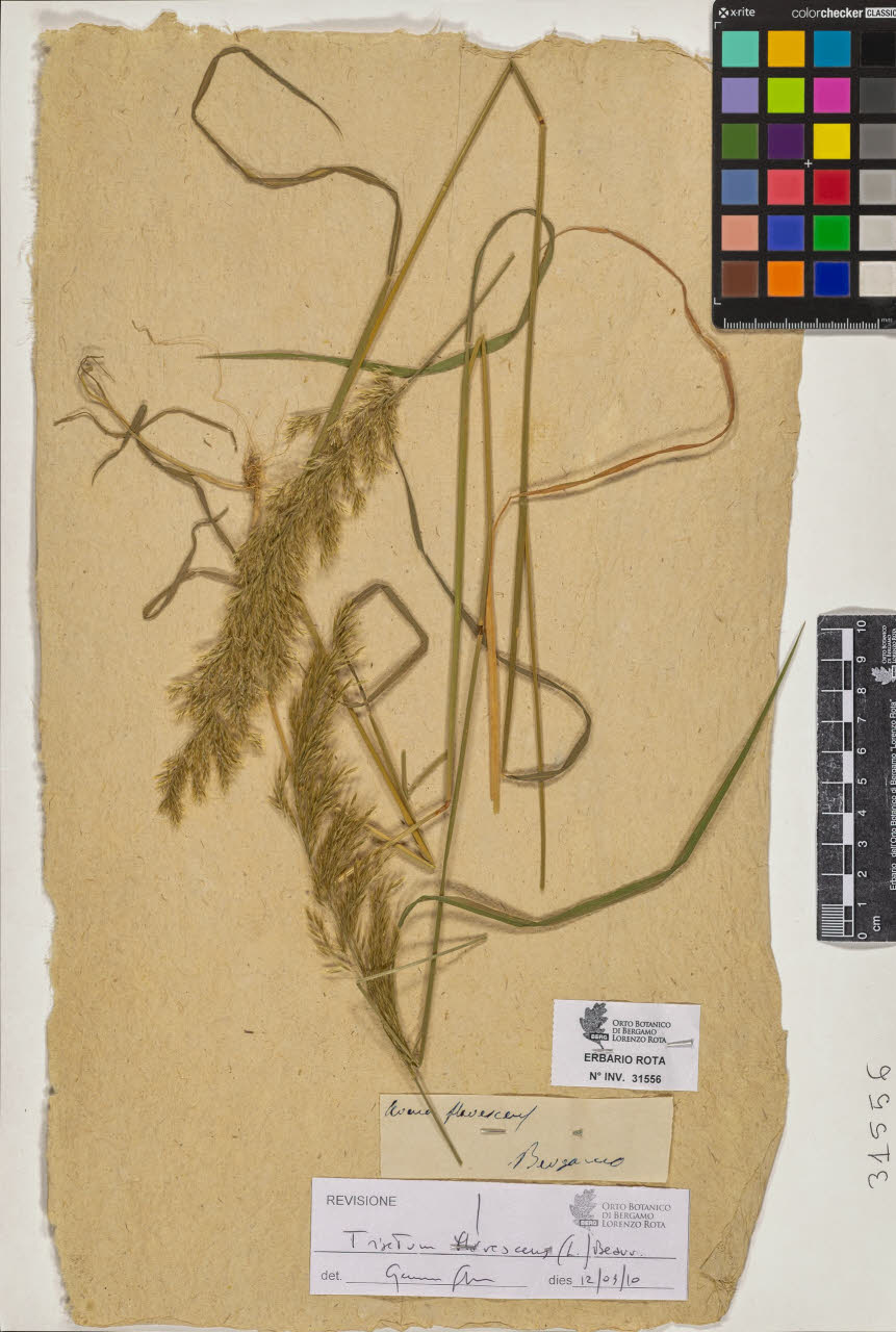 SW_BNB_s3090-09597_IMG-0000000001