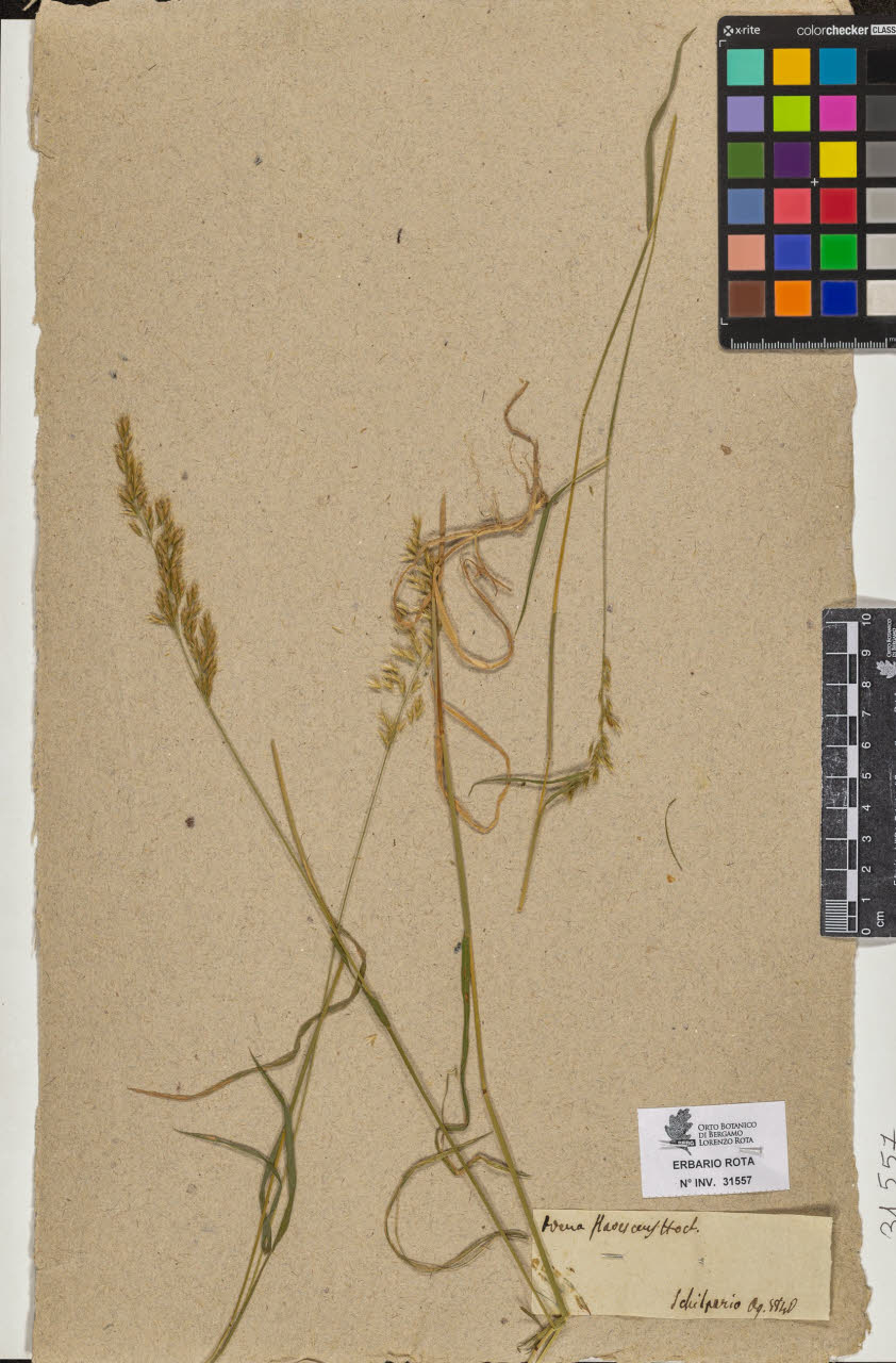 SW_BNB_s3090-09598_IMG-0000000001