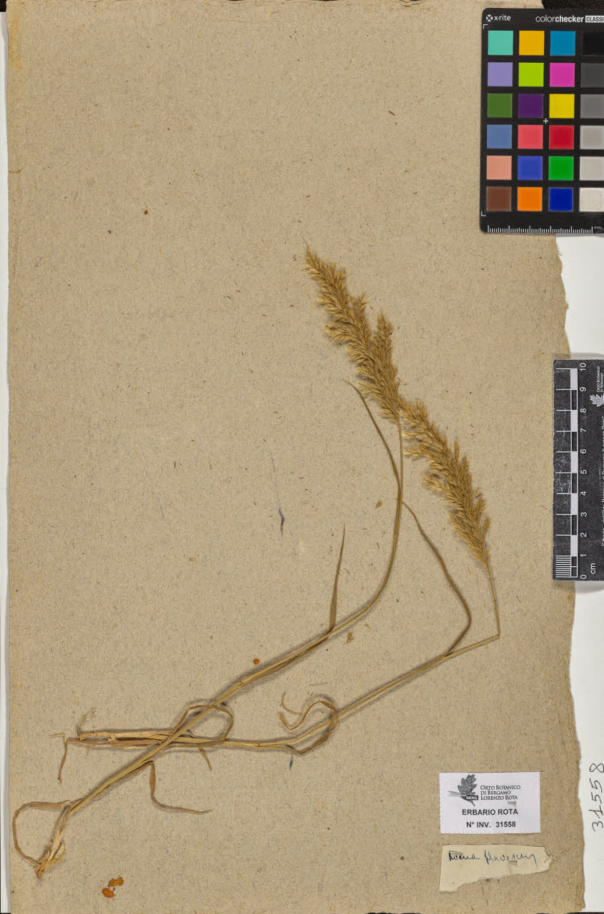 SW_BNB_s3090-09599_IMG-0000000001