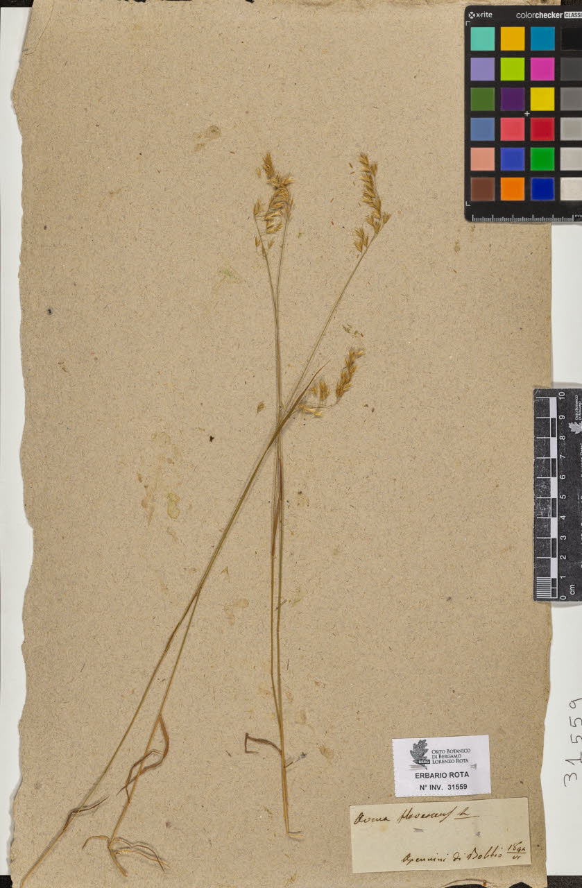 SW_BNB_s3090-09600_IMG-0000000001