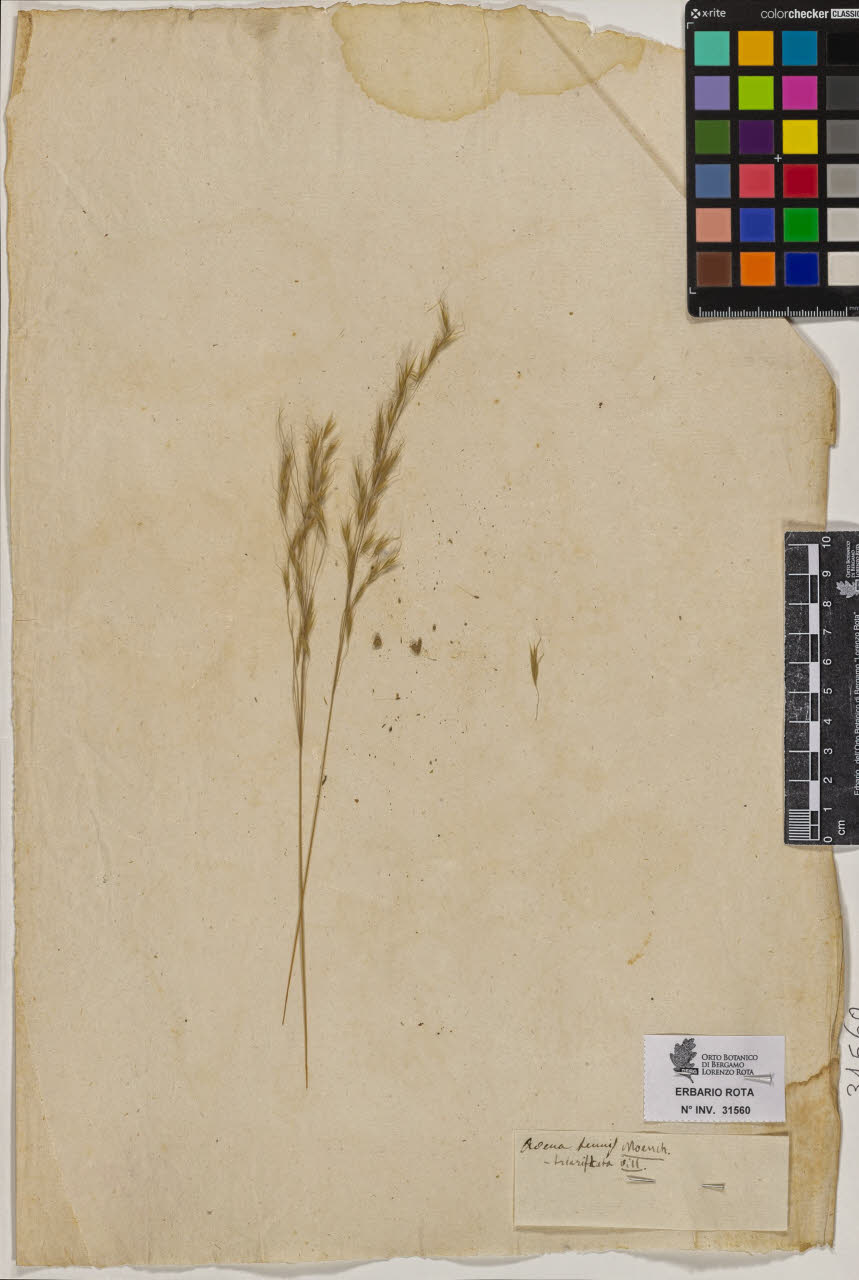 SW_BNB_s3090-09601_IMG-0000000001