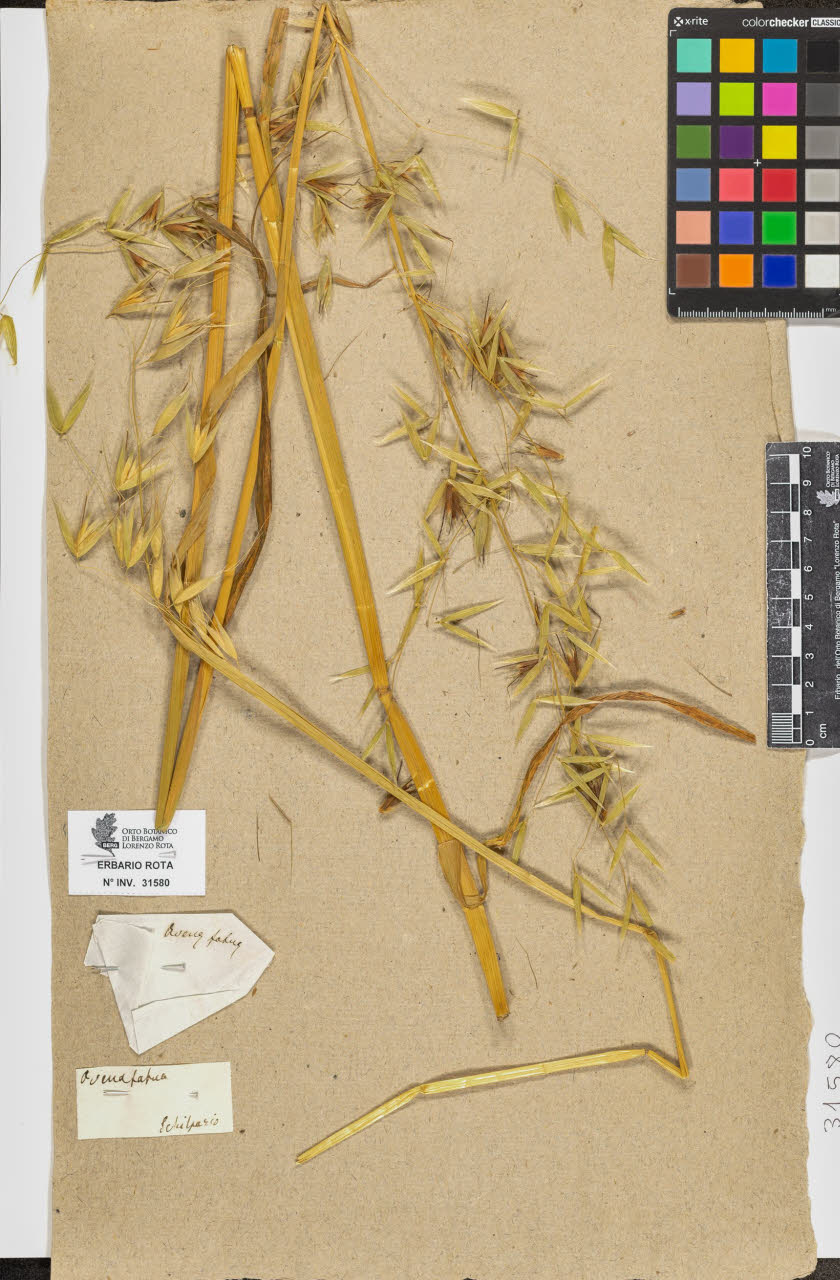 SW_BNB_s3090-09621_IMG-0000000001