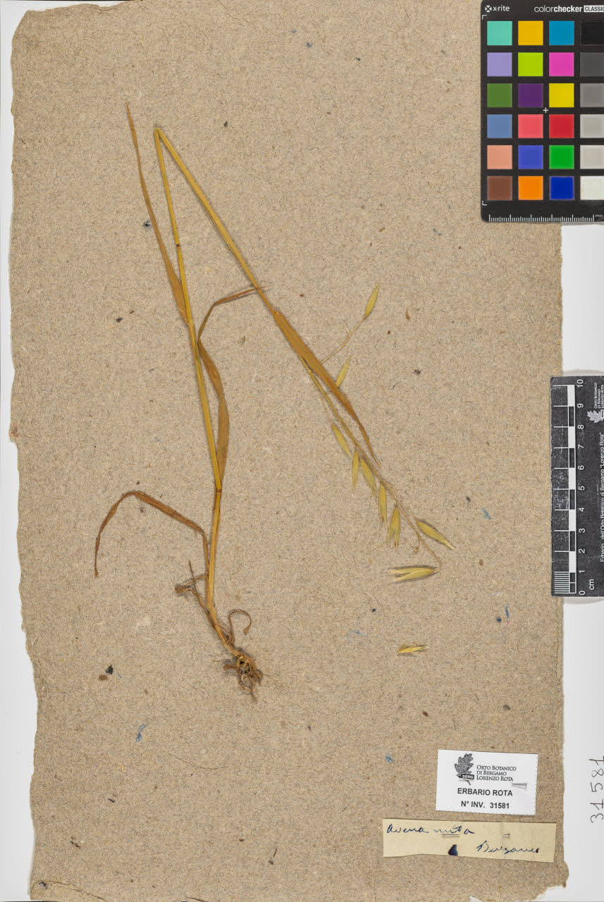 SW_BNB_s3090-09622_IMG-0000000001