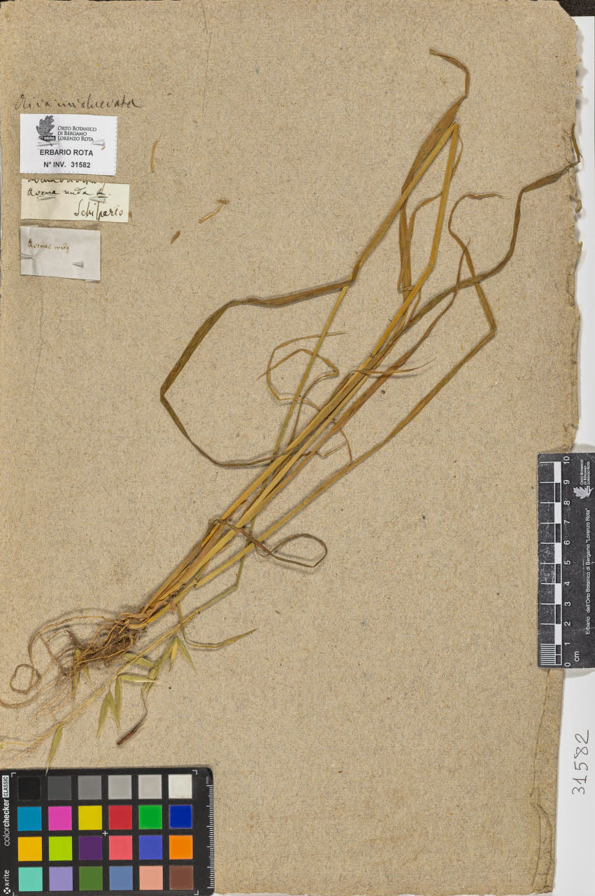 SW_BNB_s3090-09623_IMG-0000000001