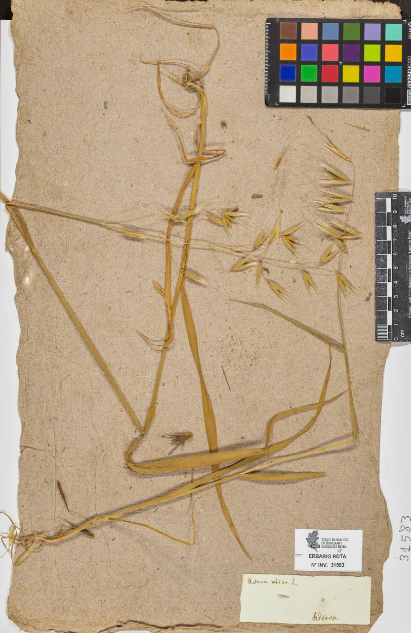 SW_BNB_s3090-09624_IMG-0000000001