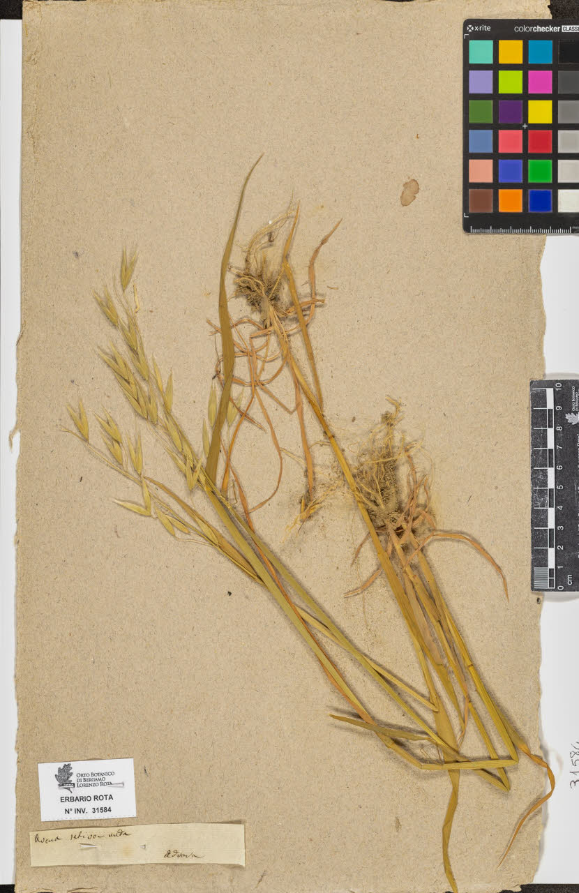 SW_BNB_s3090-09625_IMG-0000000001