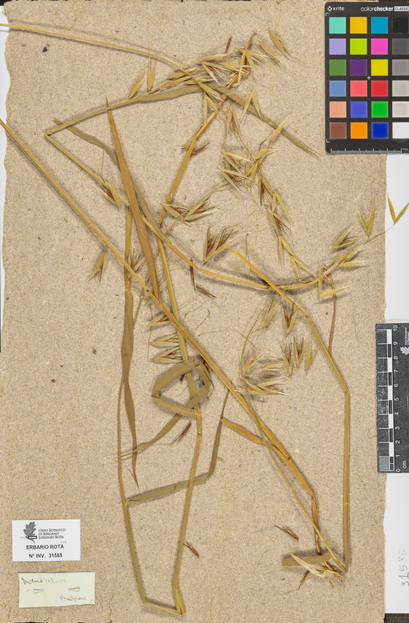 SW_BNB_s3090-09626_IMG-0000000001