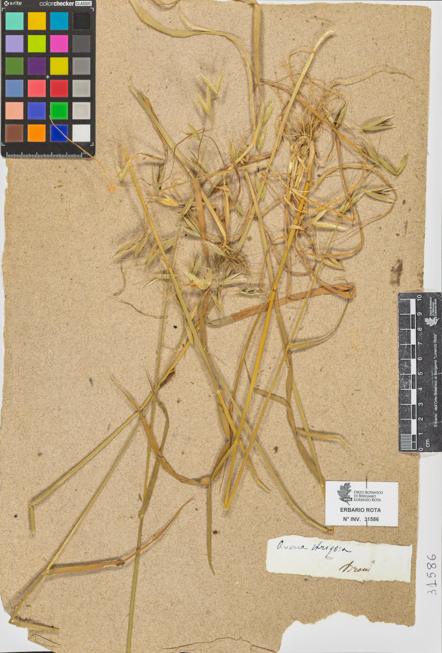 SW_BNB_s3090-09627_IMG-0000000001