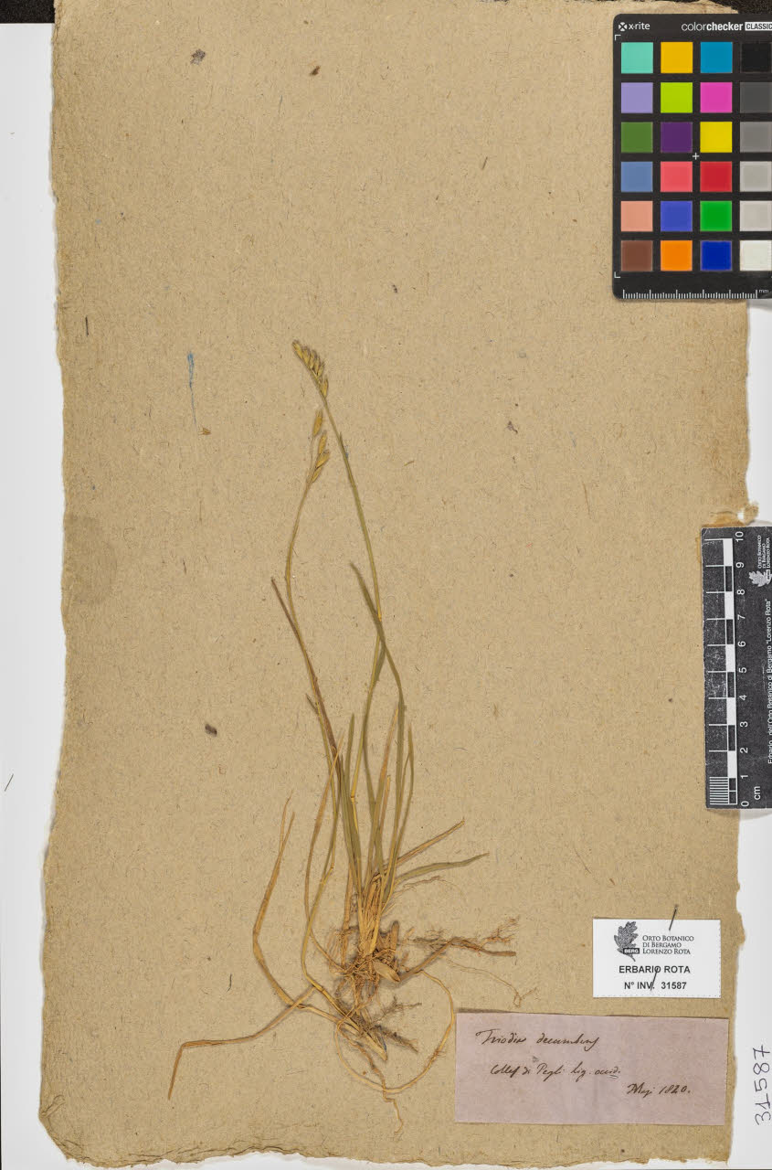 SW_BNB_s3090-09628_IMG-0000000001