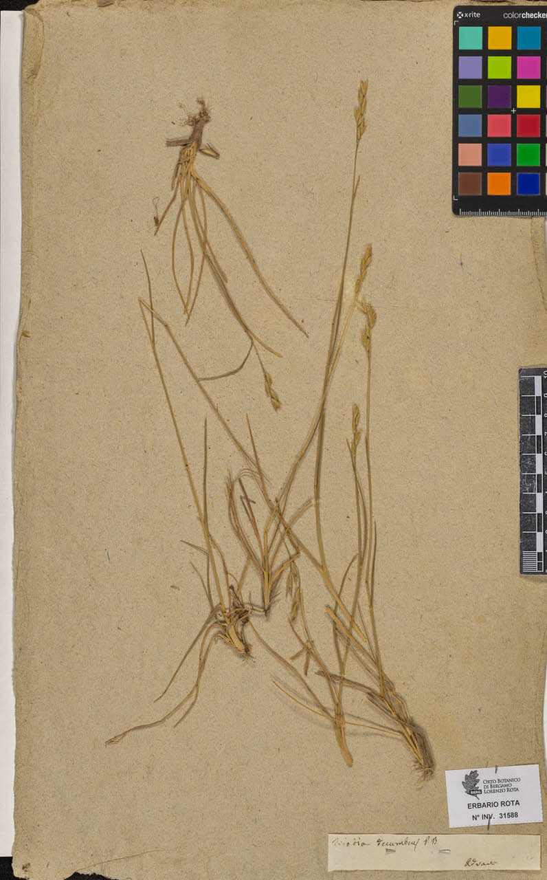 SW_BNB_s3090-09629_IMG-0000000001