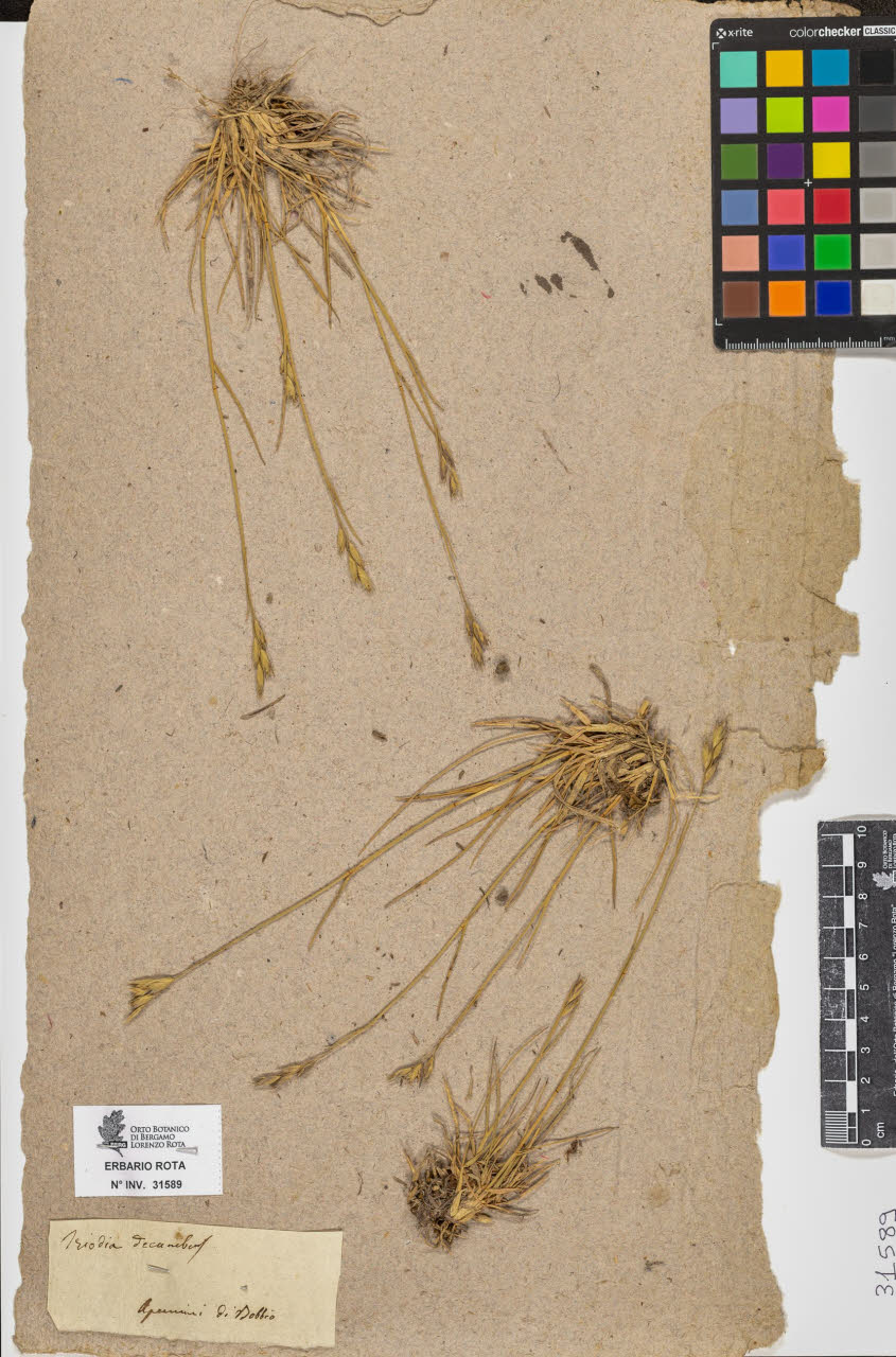 SW_BNB_s3090-09630_IMG-0000000001