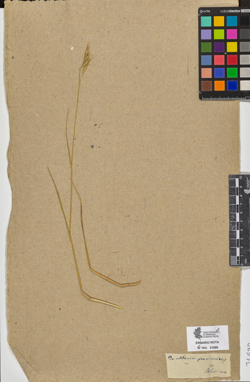 SW_BNB_s3090-09631_IMG-0000000001