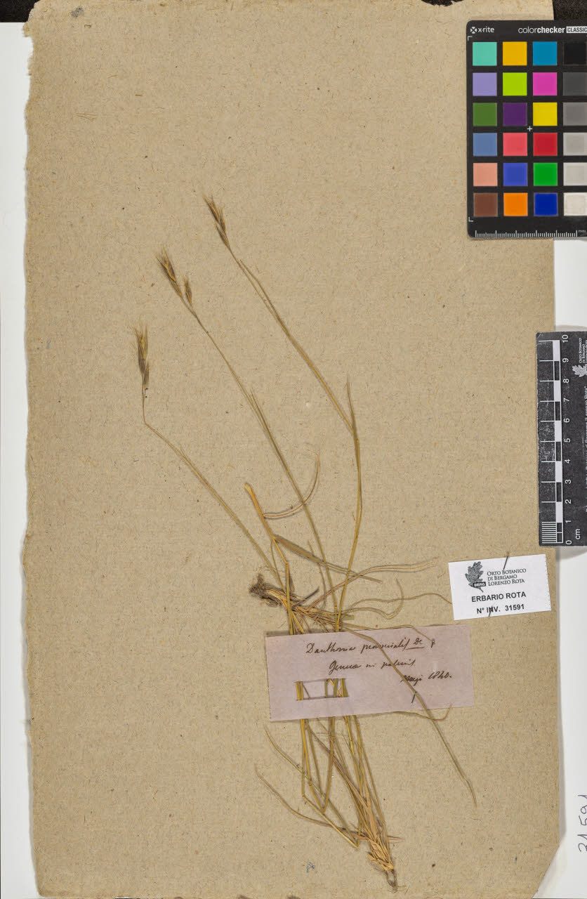 SW_BNB_s3090-09632_IMG-0000000001