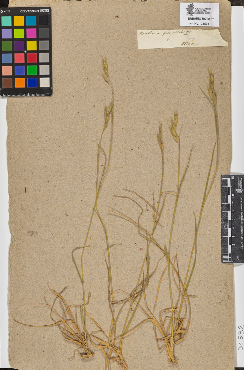 SW_BNB_s3090-09633_IMG-0000000001