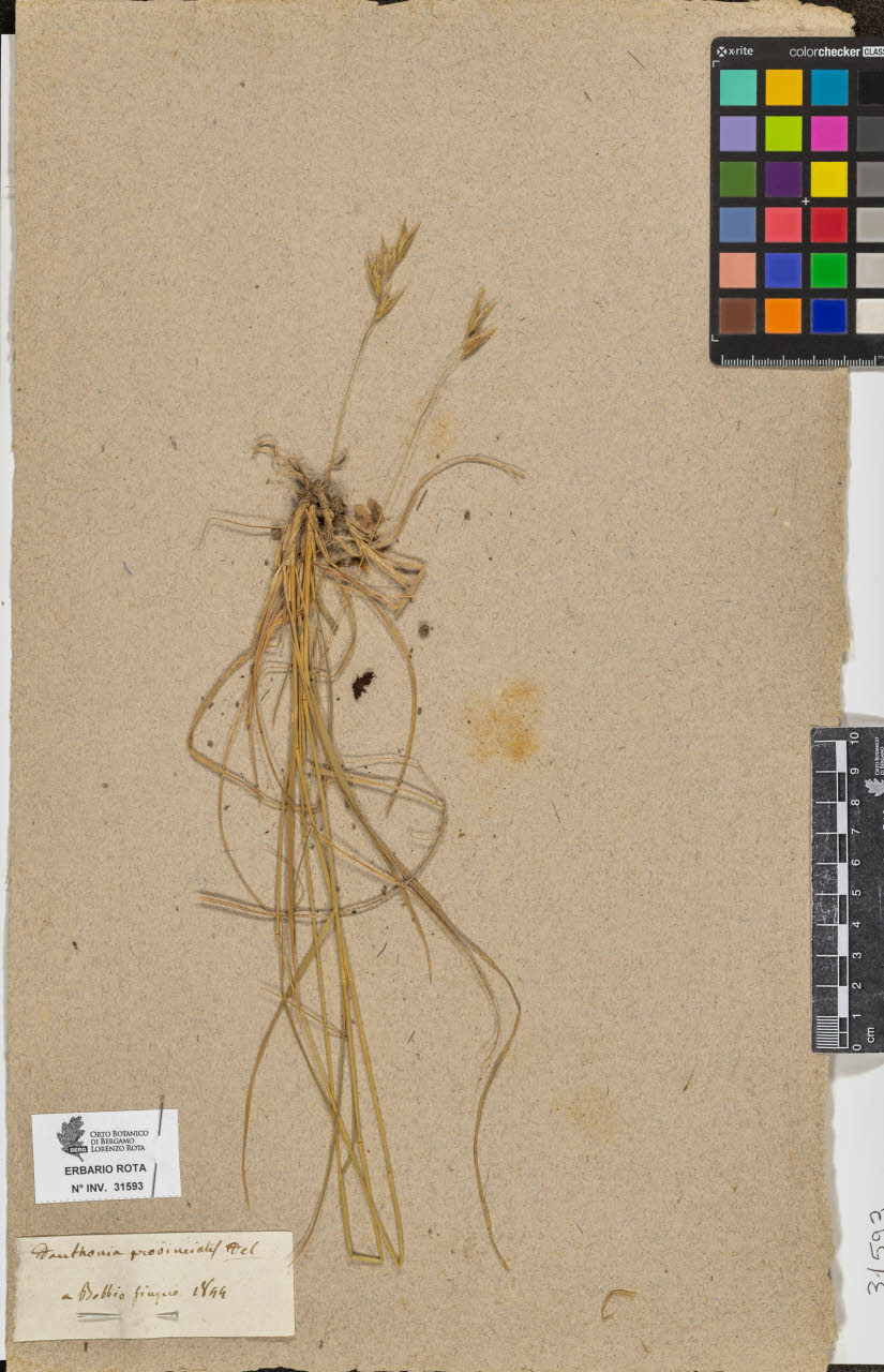 SW_BNB_s3090-09634_IMG-0000000001